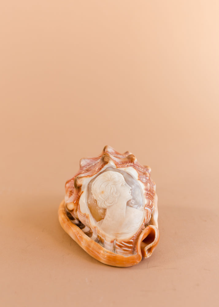 
            
                Load image into Gallery viewer, Cameo Seashell
            
        